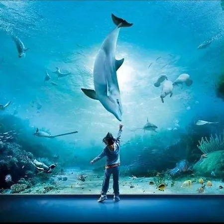 A Due Passi Dall Acquario - House In Yacht Club